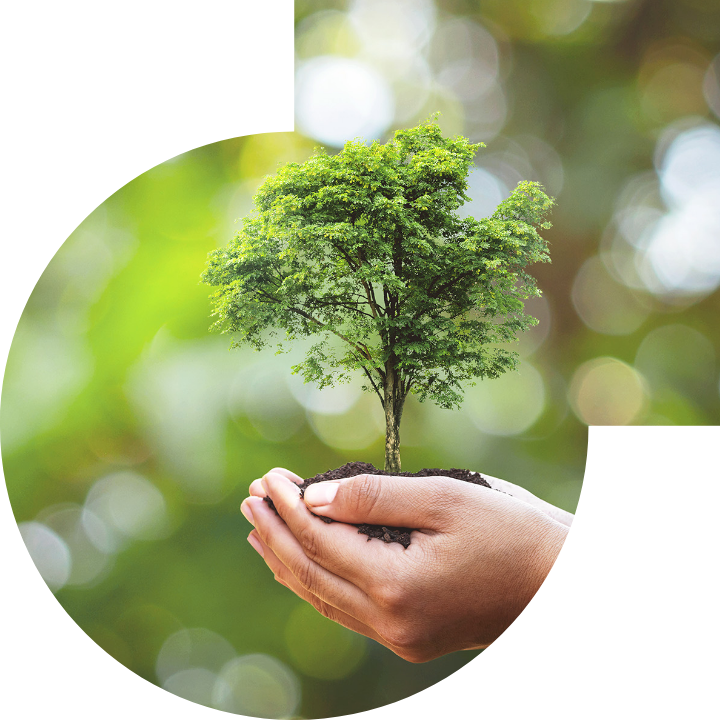 關懷人類、文化、環境與社會